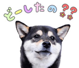 763933310