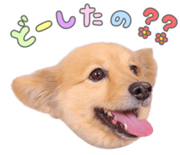 763933774