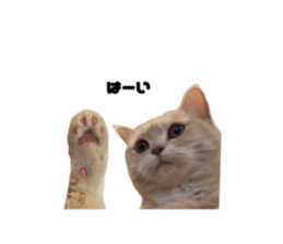 763989214
