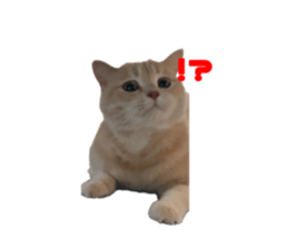 763989217