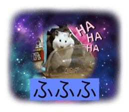 764010239