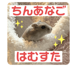 764023453