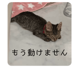 764023621