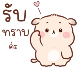 ลายที่ 13