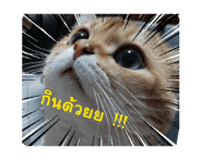 764036450