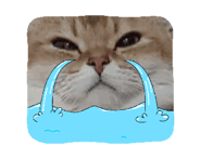 764036455