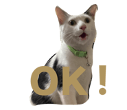764049889