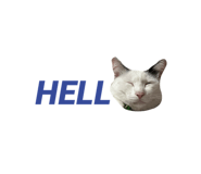 764049892