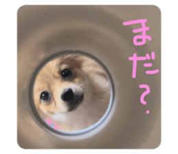 764052624