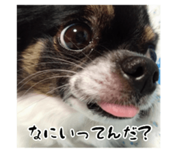 764060748