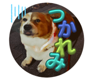 764063875
