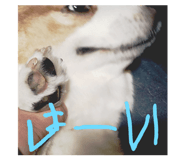 764063897
