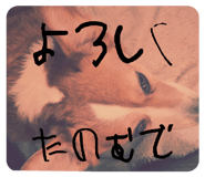 764063898