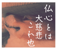 764063902
