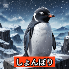 764070603