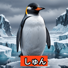 764070638