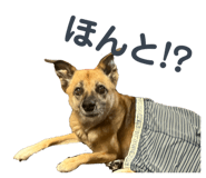764077458