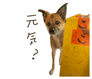 764077466
