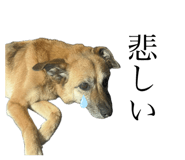 764077470