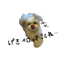 764081382