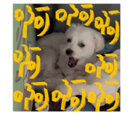 764090661