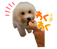 764091340