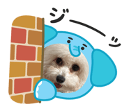 764091344