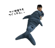 764118191
