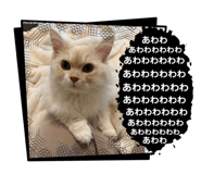 764141860