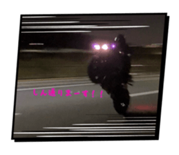 764151804