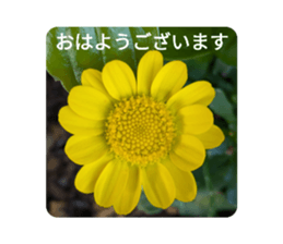 764156426