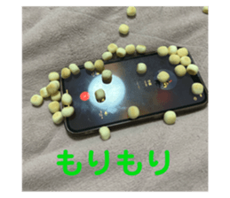 764224850