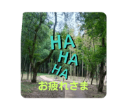 764228688