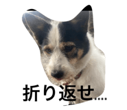 764230611
