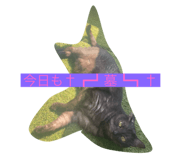 764230615