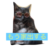 764230616