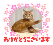 764232462