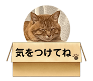 764232463