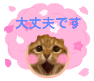 764232467