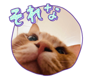764232471