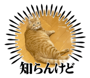 764232476