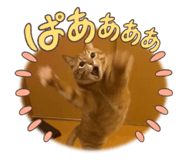 764232480