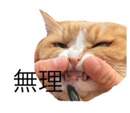 764236020
