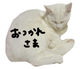 764238206