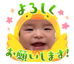 764240300