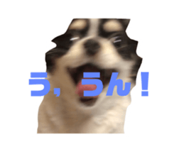 764242590