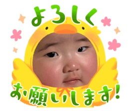 764242690