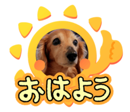 764242958