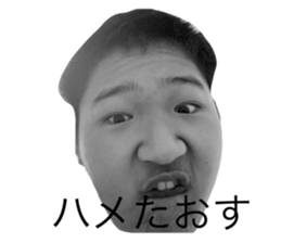 764244067