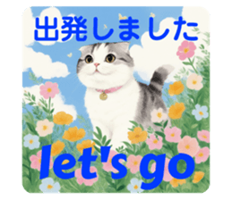 764245177